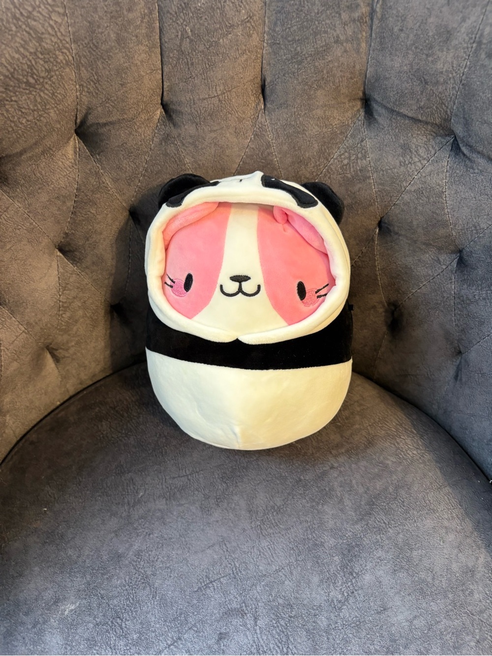 RARE Joxtine the Pink Cat in Panda Costume “8